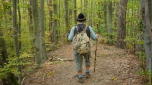 Ein Wanderer im Wald
