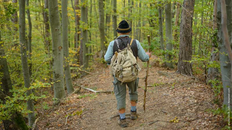 Ein Wanderer im Wald