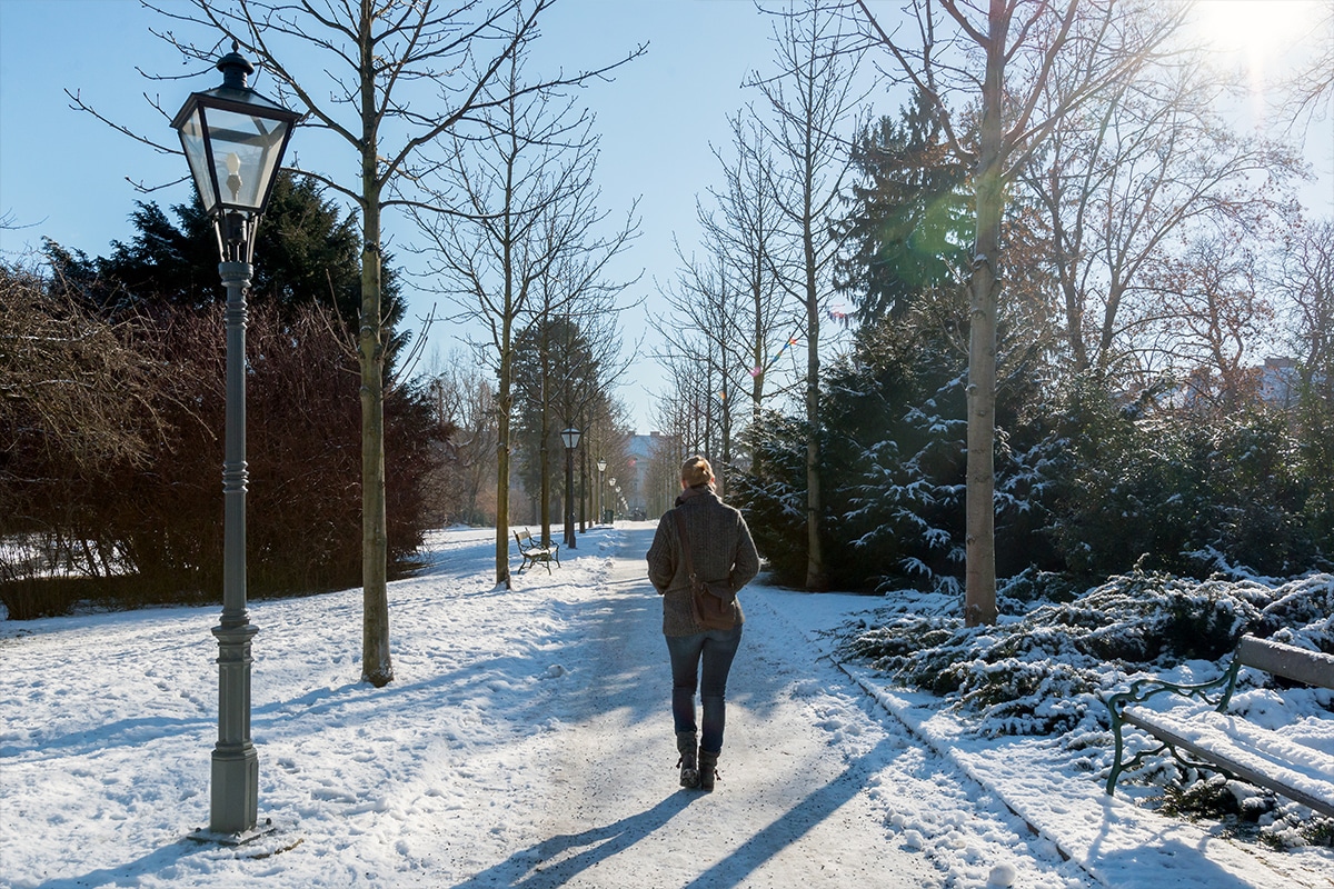 Frohes Fest Frohes Fest